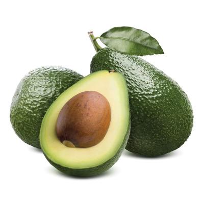 Avacado