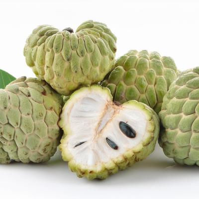 Custard Apple(சீதாப்பழம்)