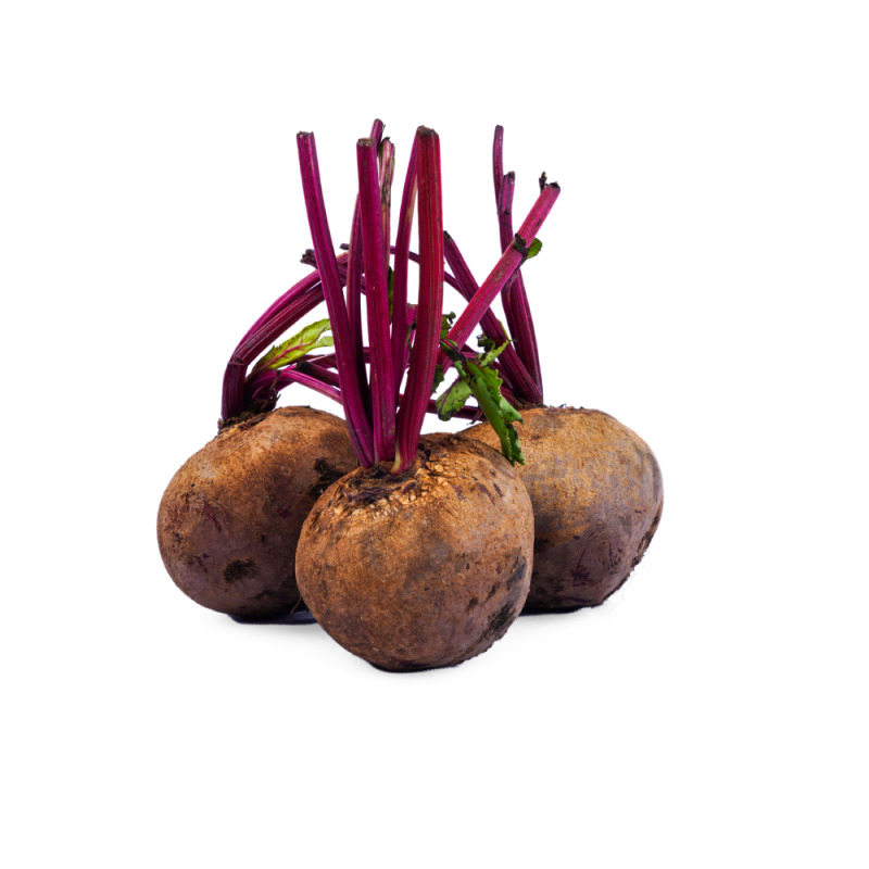Beetroot(பீட்ரூட்)