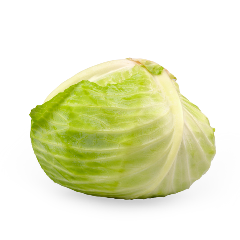 Cabbage(முட்டைக்கோஸ்)
