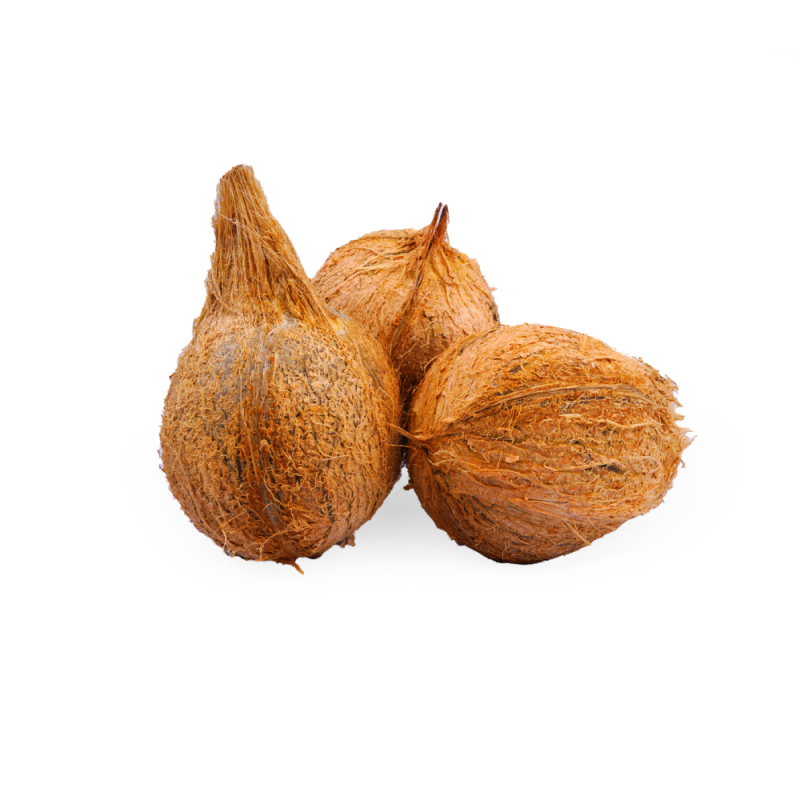 Coconut Medium(தேங்காய்)