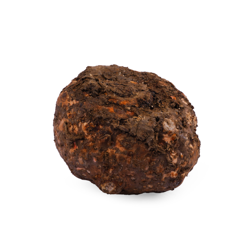 Elephant foot yam(சேனைக்கிழங்கு)