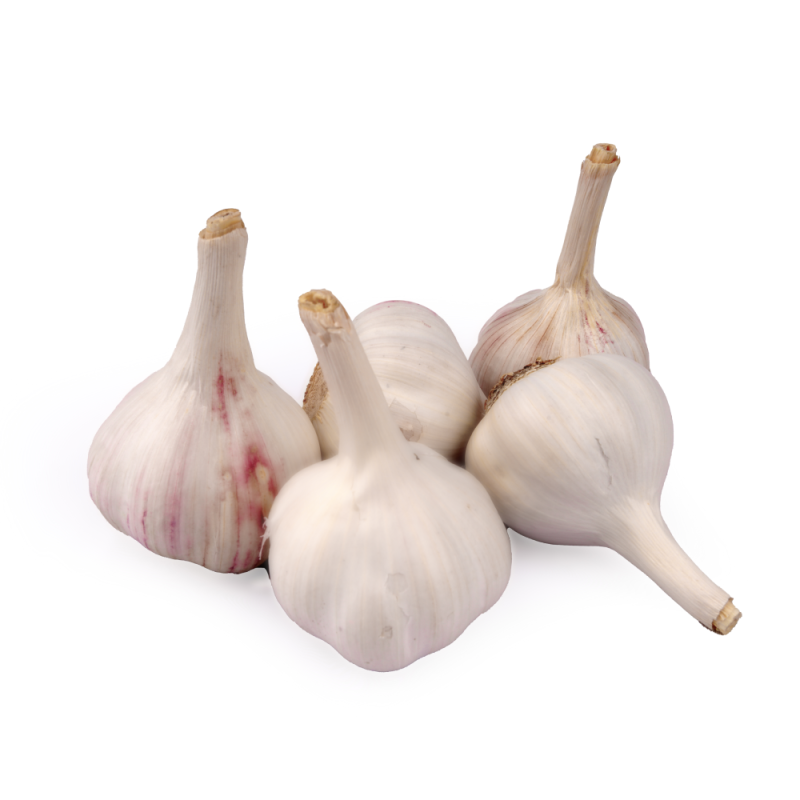 Garlic(பூண்டு)