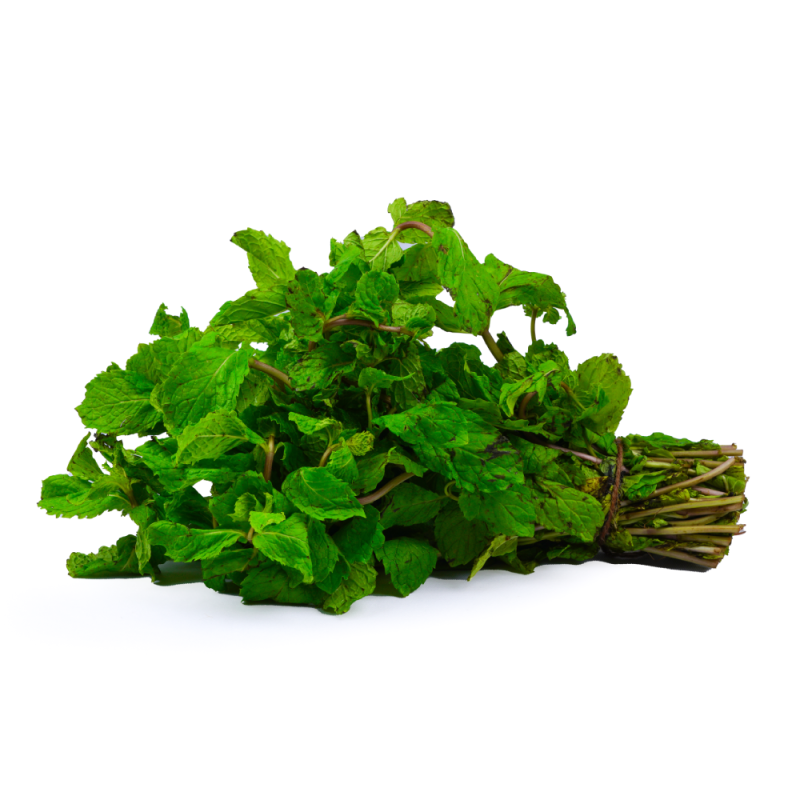 Mint leaves(புதினா)
