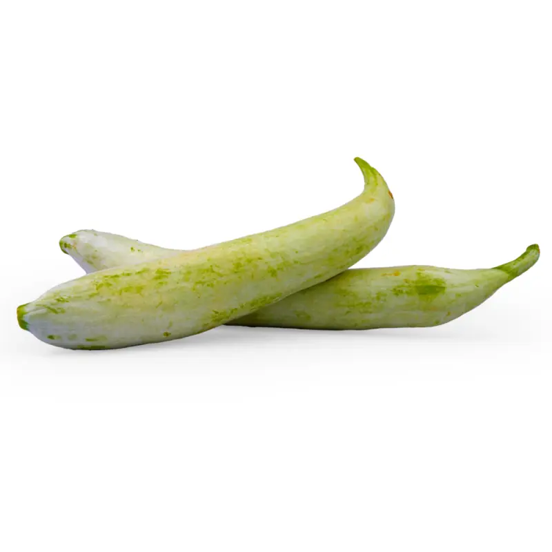 Snake Gourd(புடலங்காய்)